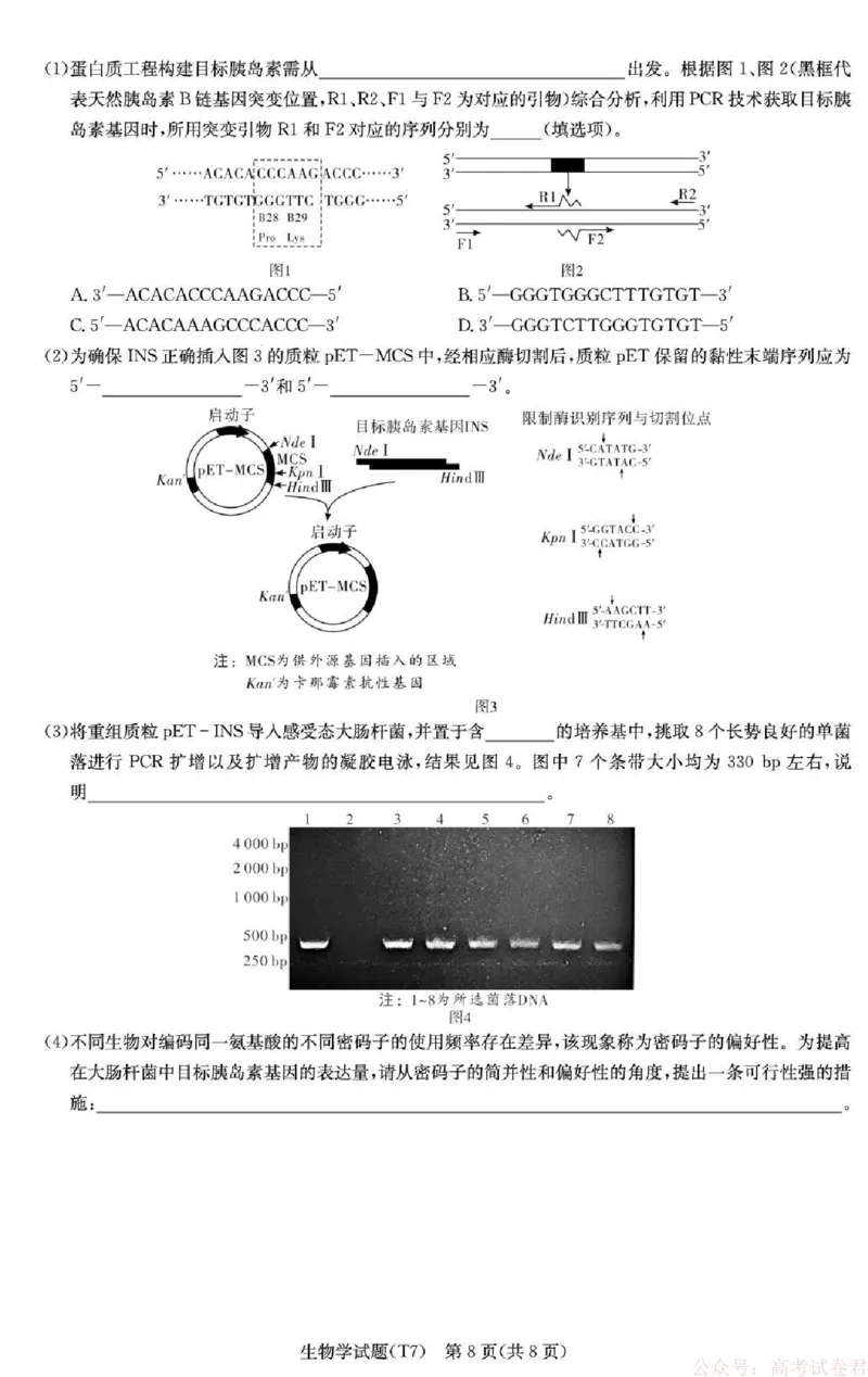 湖南师大附中2026届高三月考试卷（七）生物_2026届湖南师大附中高三2月月考试卷（七）_湖南师大附中2026届高三2月月考试卷（七）生物