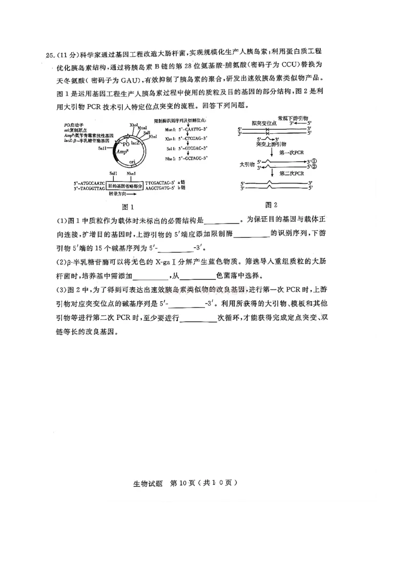 济宁市2026届高三年级一模考试生物_2026届山东省济宁市高三年级一模考试_生物&middot;2026届山东省济宁市高三年级一模考试