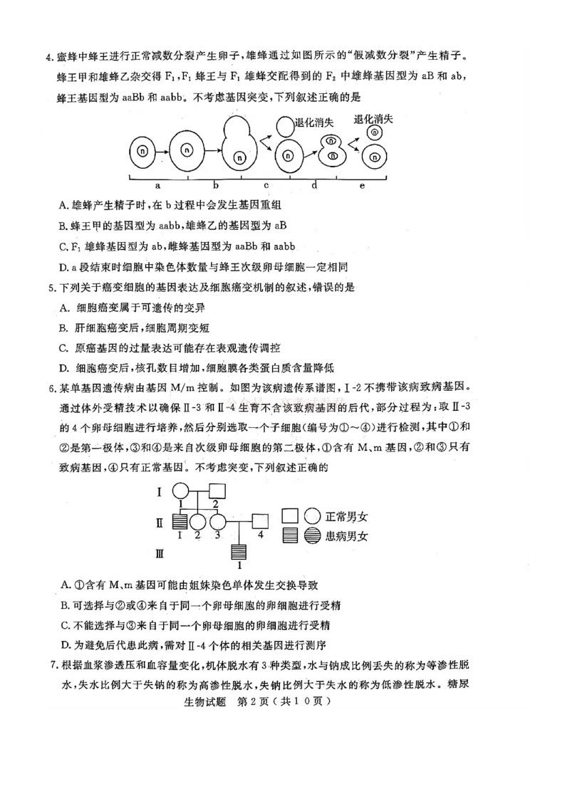 济宁市2026届高三年级一模考试生物_2026届山东省济宁市高三年级一模考试_生物&middot;2026届山东省济宁市高三年级一模考试