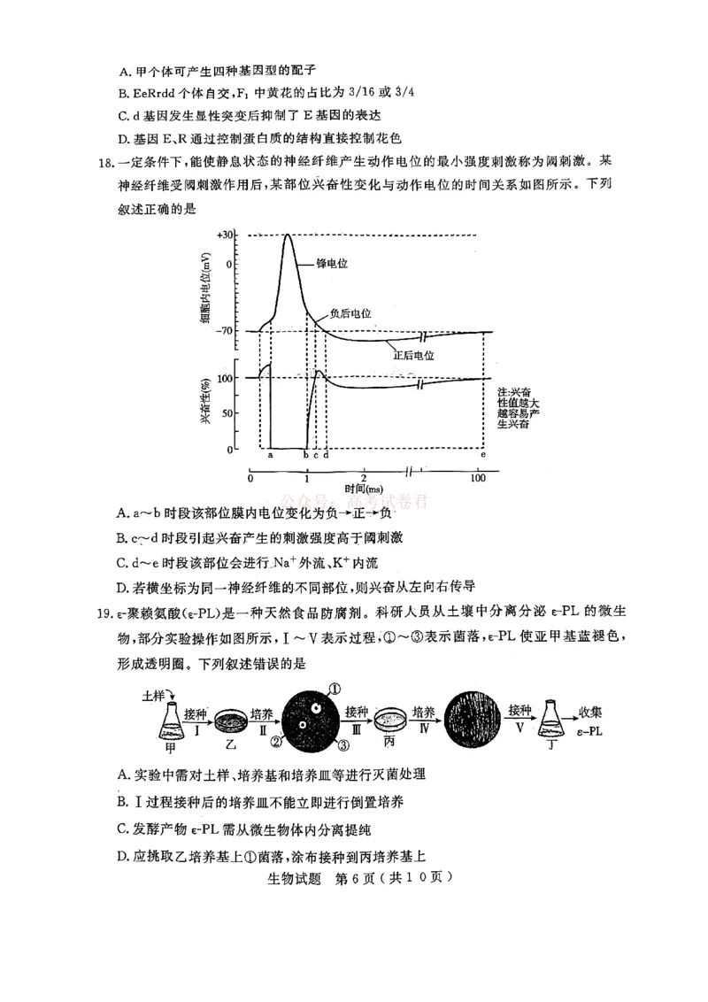 济宁市2026届高三年级一模考试生物_2026届山东省济宁市高三年级一模考试_生物&middot;2026届山东省济宁市高三年级一模考试