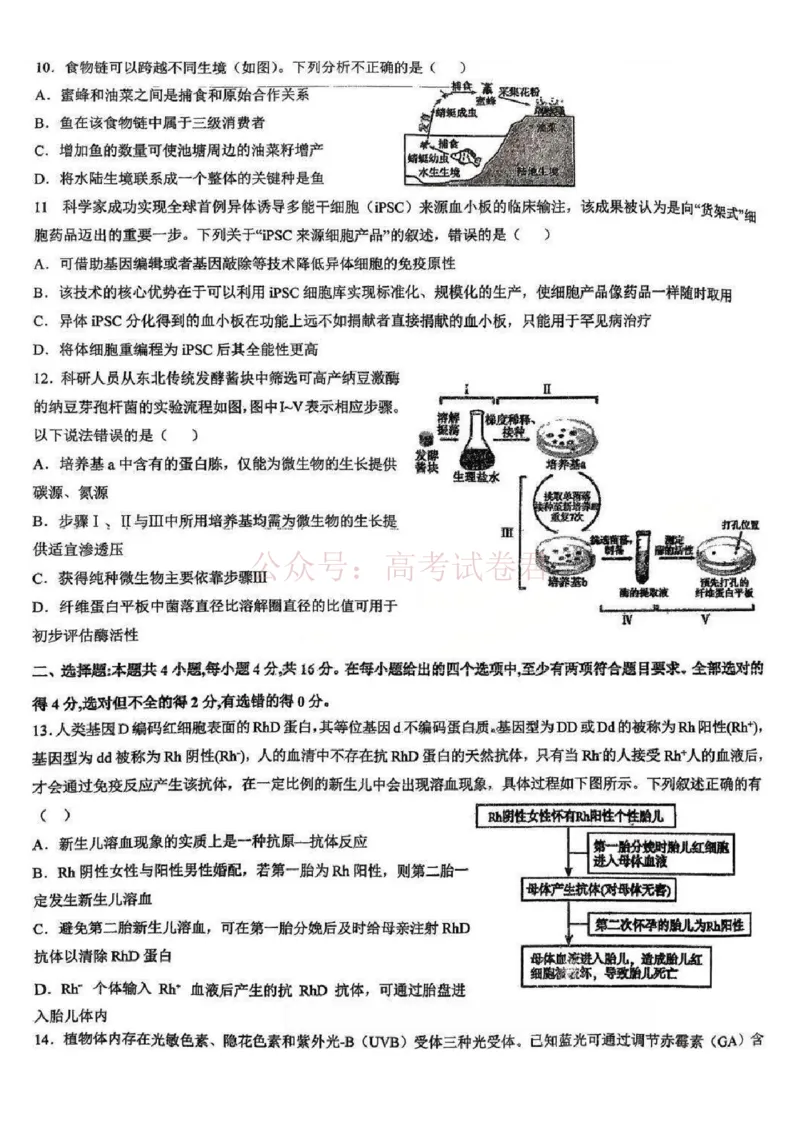 江西省五市十校协作体2025-2026年高三下第二次联考生物试卷（含答案）_副本_2026届江西省五市十校协作体高三第二次联考全科_06生物_江西省五市十校协作体高三第二次联考