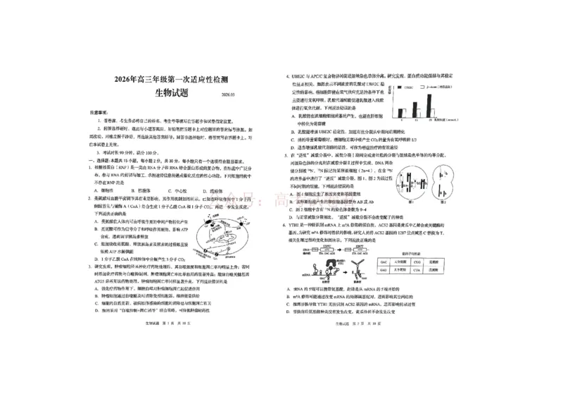 生物试题_2026届山东省青岛市高三年级第一次适应性检测_06生物2026届山东省青岛市高三年级第一次适应性检测