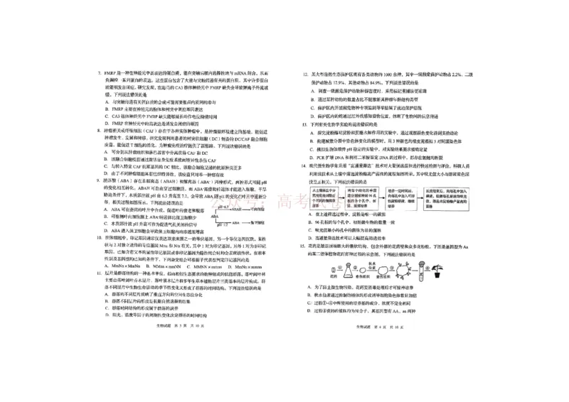 生物试题_2026届山东省青岛市高三年级第一次适应性检测_06生物2026届山东省青岛市高三年级第一次适应性检测