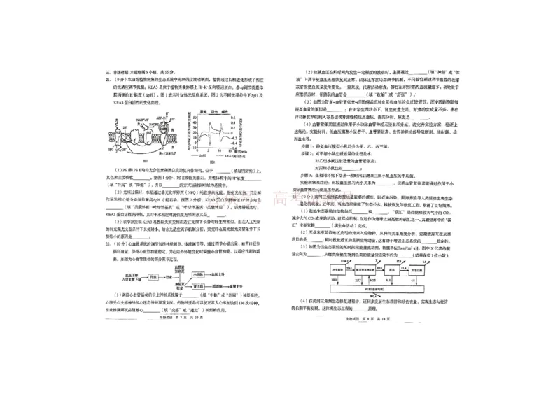 生物试题_2026届山东省青岛市高三年级第一次适应性检测_06生物2026届山东省青岛市高三年级第一次适应性检测