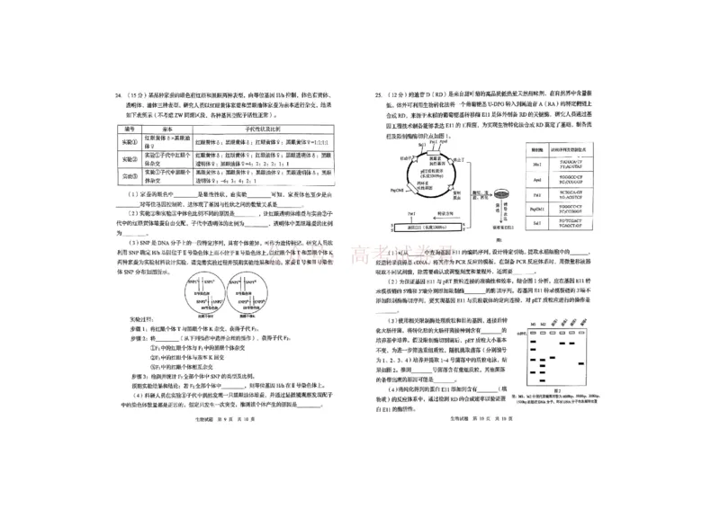 生物试题_2026届山东省青岛市高三年级第一次适应性检测_06生物2026届山东省青岛市高三年级第一次适应性检测