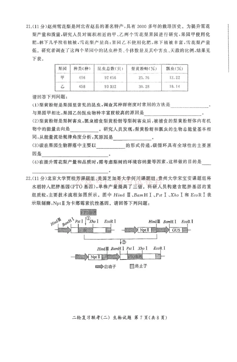 百师联盟2025届高三二轮复习联考（二）H生物_2025届百师联盟高三二轮复习联考（二）全科_06生物_2025届百师联盟高三二轮复习联考（二）