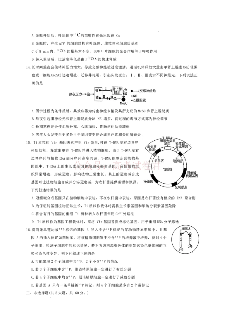 雅礼中学2026届高三月考试卷（八）生物_副本_2026届湖南省雅礼中学高三月考试卷（八）全科_06生物_湖南省雅礼中学高三月考试卷（八）