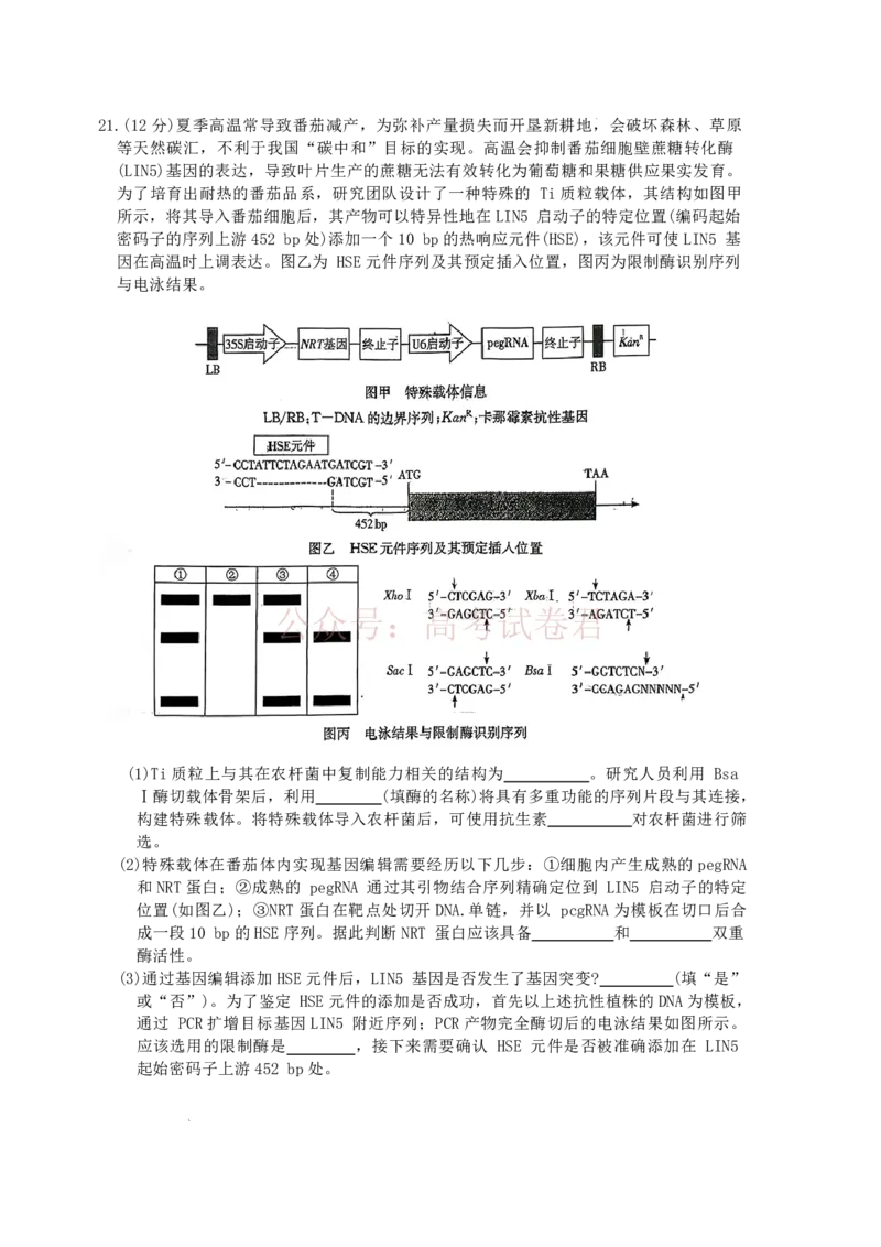 雅礼中学2026届高三月考试卷（八）生物_副本_2026届湖南省雅礼中学高三月考试卷（八）全科_06生物_湖南省雅礼中学高三月考试卷（八）