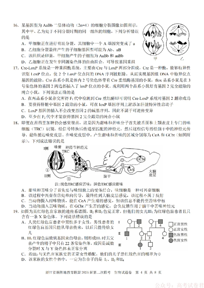 生物-2603新阵地教育联盟_2026届浙江省新阵地教育联盟高三第二次联考