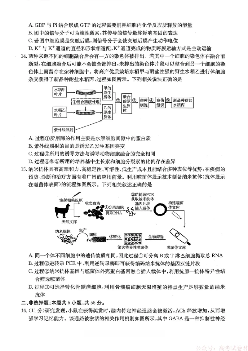 重庆好教育联盟2026届高三下学期3月开学联考（26-284C）生物_2026届重庆好教育联盟高三下学期3月开学联考（26-284C）（全科）