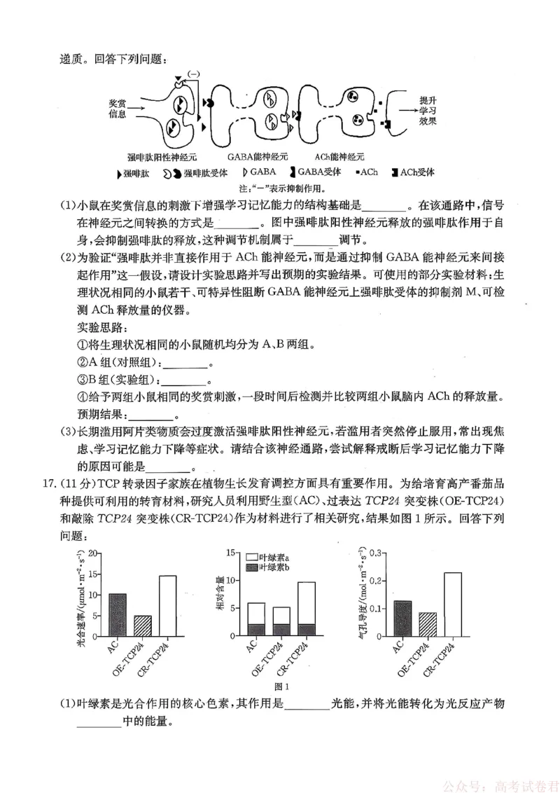 重庆好教育联盟2026届高三下学期3月开学联考（26-284C）生物_2026届重庆好教育联盟高三下学期3月开学联考（26-284C）（全科）