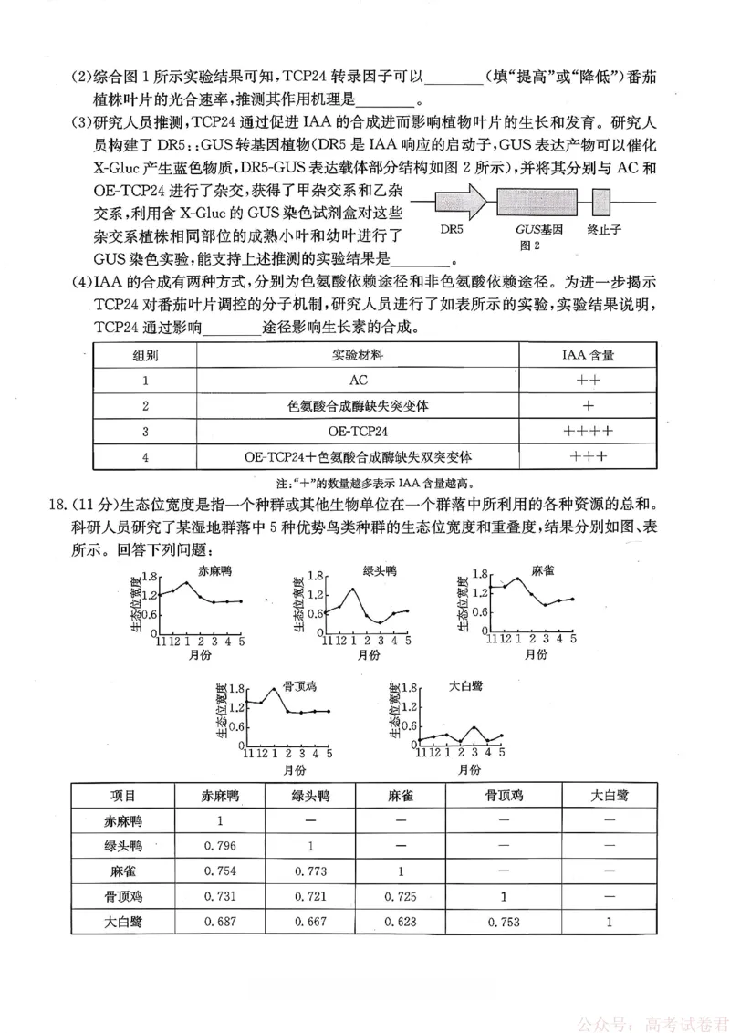 重庆好教育联盟2026届高三下学期3月开学联考（26-284C）生物_2026届重庆好教育联盟高三下学期3月开学联考（26-284C）（全科）