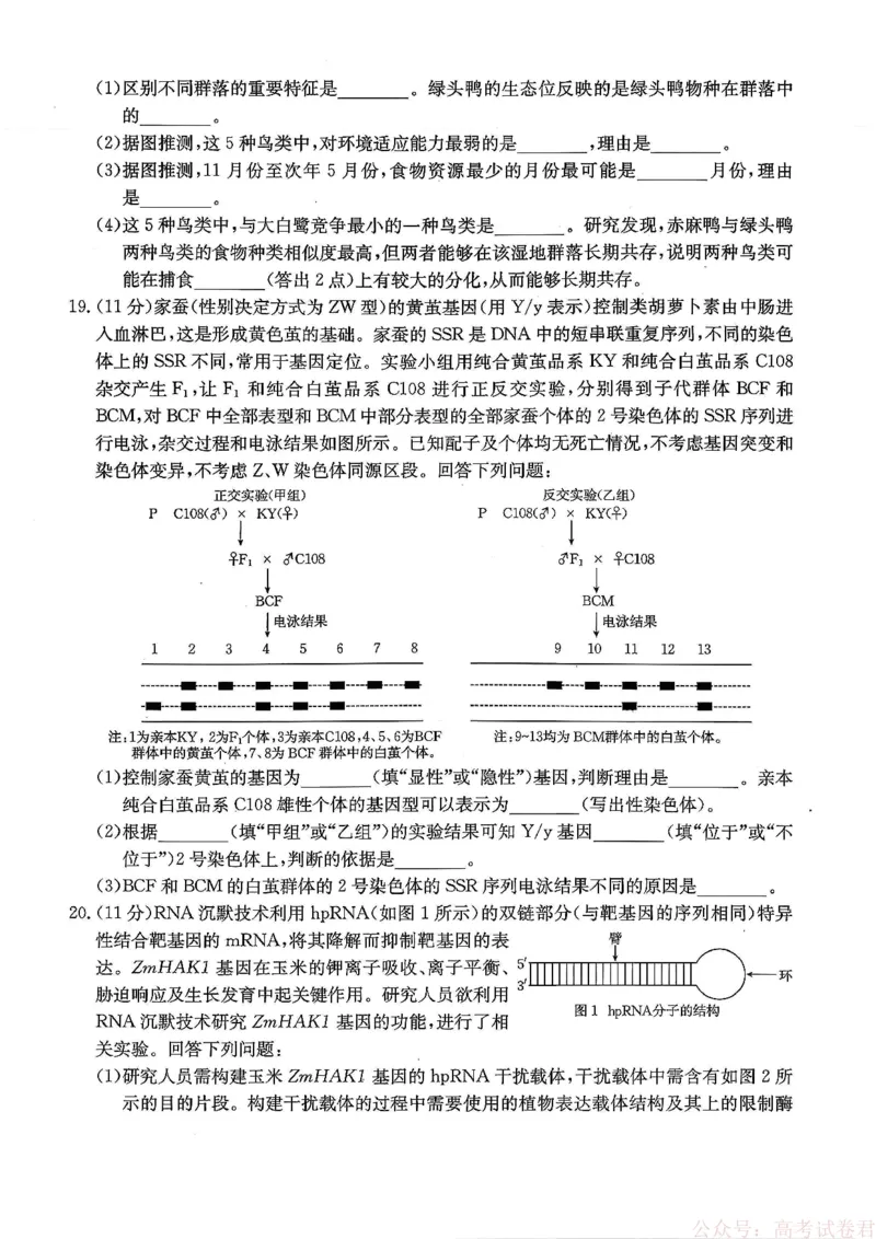 重庆好教育联盟2026届高三下学期3月开学联考（26-284C）生物_2026届重庆好教育联盟高三下学期3月开学联考（26-284C）（全科）