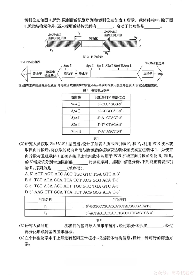 重庆好教育联盟2026届高三下学期3月开学联考（26-284C）生物_2026届重庆好教育联盟高三下学期3月开学联考（26-284C）（全科）