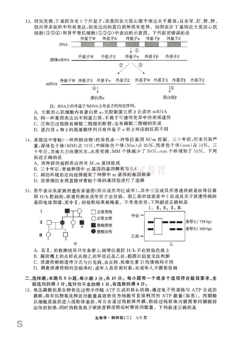 衡水金卷2026年普通高等学校招生全国统一考试模拟调研卷（二）生物_2026届衡水金卷高三模拟调研卷（二）_05生物_衡水金卷高三模拟调研卷（二）