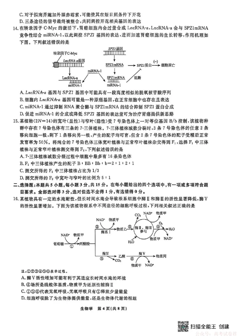 辽宁省名校联盟2025-2026学年高三下3月模拟考试生物试卷（含答案）_2026届辽宁名校联盟高三下学期3月联考全科
