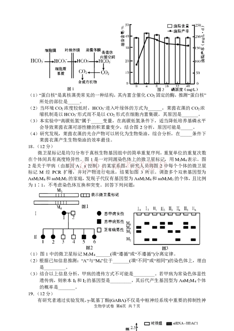 生物试卷_2026届湖南省常德市高三3月模拟考试全科_06生物_湖南省常德市高三3月模拟考试