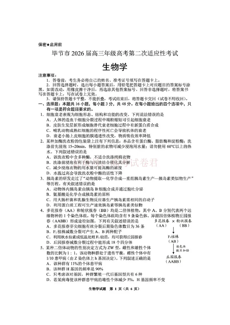 毕节市2026届高三年级高考第二次适应性考试生物_副本_2026届贵州省毕节市高三第二次适应性考试全科_06生物_贵州省毕节市高三第二次适应性考试