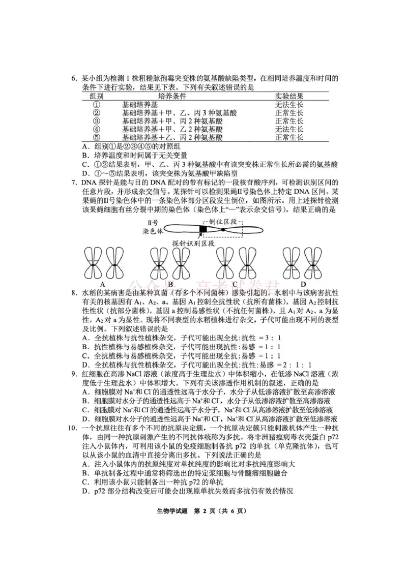 毕节市2026届高三年级高考第二次适应性考试生物_副本_2026届贵州省毕节市高三第二次适应性考试全科_06生物_贵州省毕节市高三第二次适应性考试