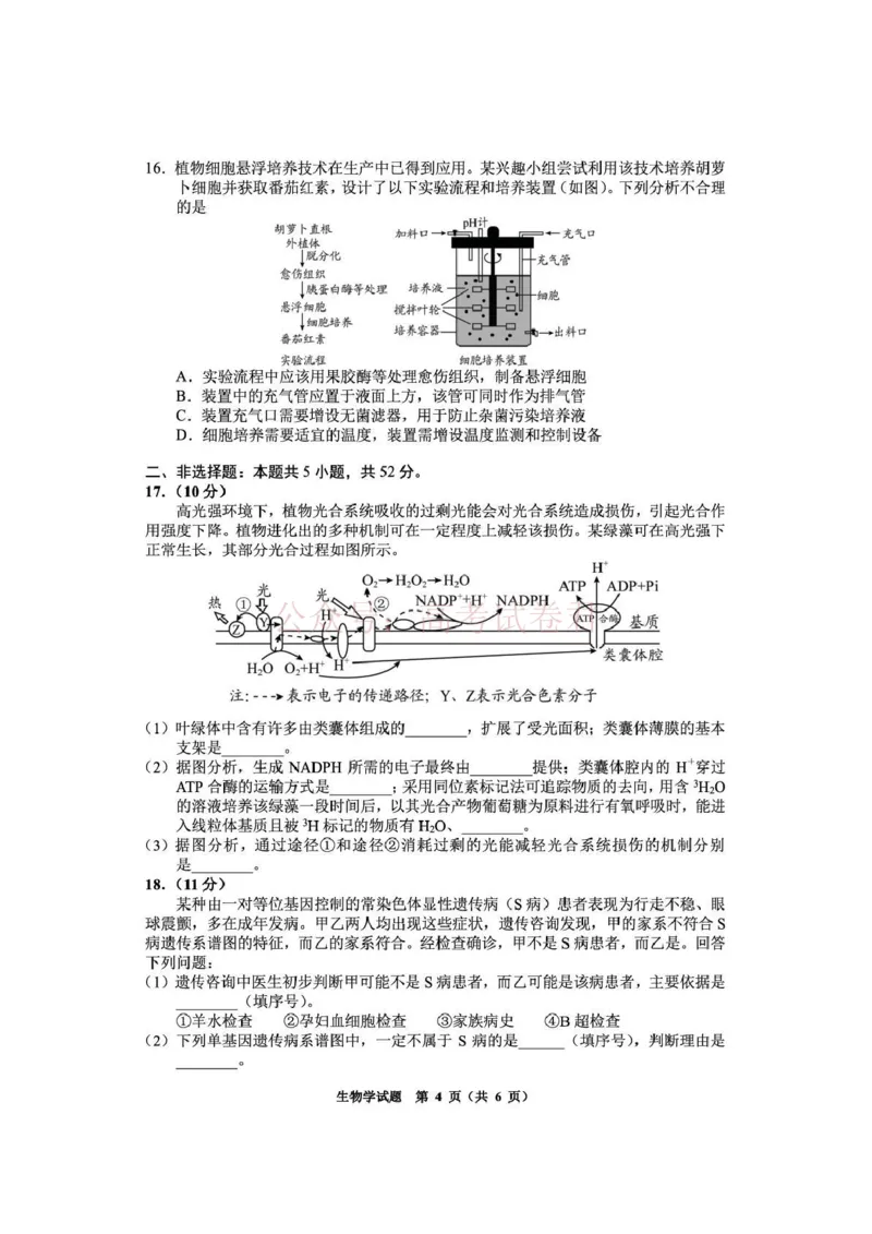 毕节市2026届高三年级高考第二次适应性考试生物_副本_2026届贵州省毕节市高三第二次适应性考试全科_06生物_贵州省毕节市高三第二次适应性考试