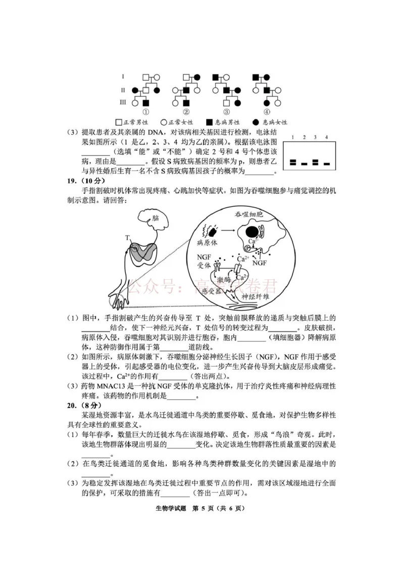 毕节市2026届高三年级高考第二次适应性考试生物_副本_2026届贵州省毕节市高三第二次适应性考试全科_06生物_贵州省毕节市高三第二次适应性考试