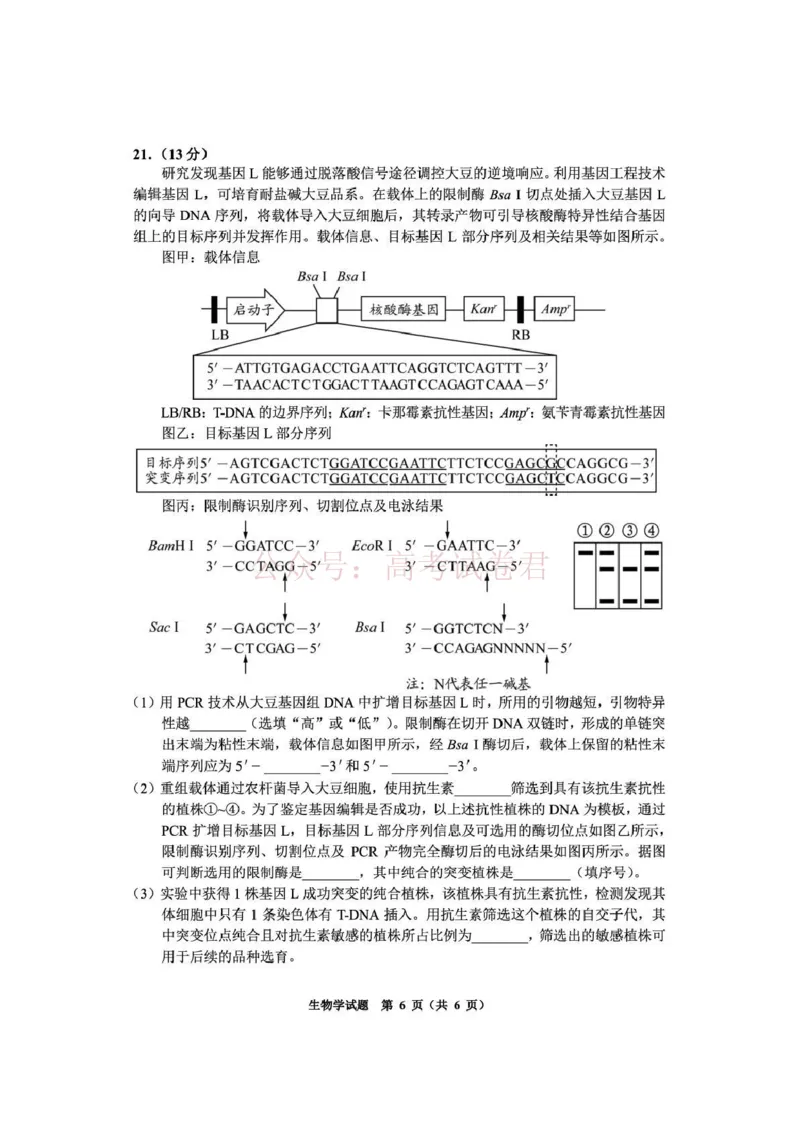 毕节市2026届高三年级高考第二次适应性考试生物_副本_2026届贵州省毕节市高三第二次适应性考试全科_06生物_贵州省毕节市高三第二次适应性考试