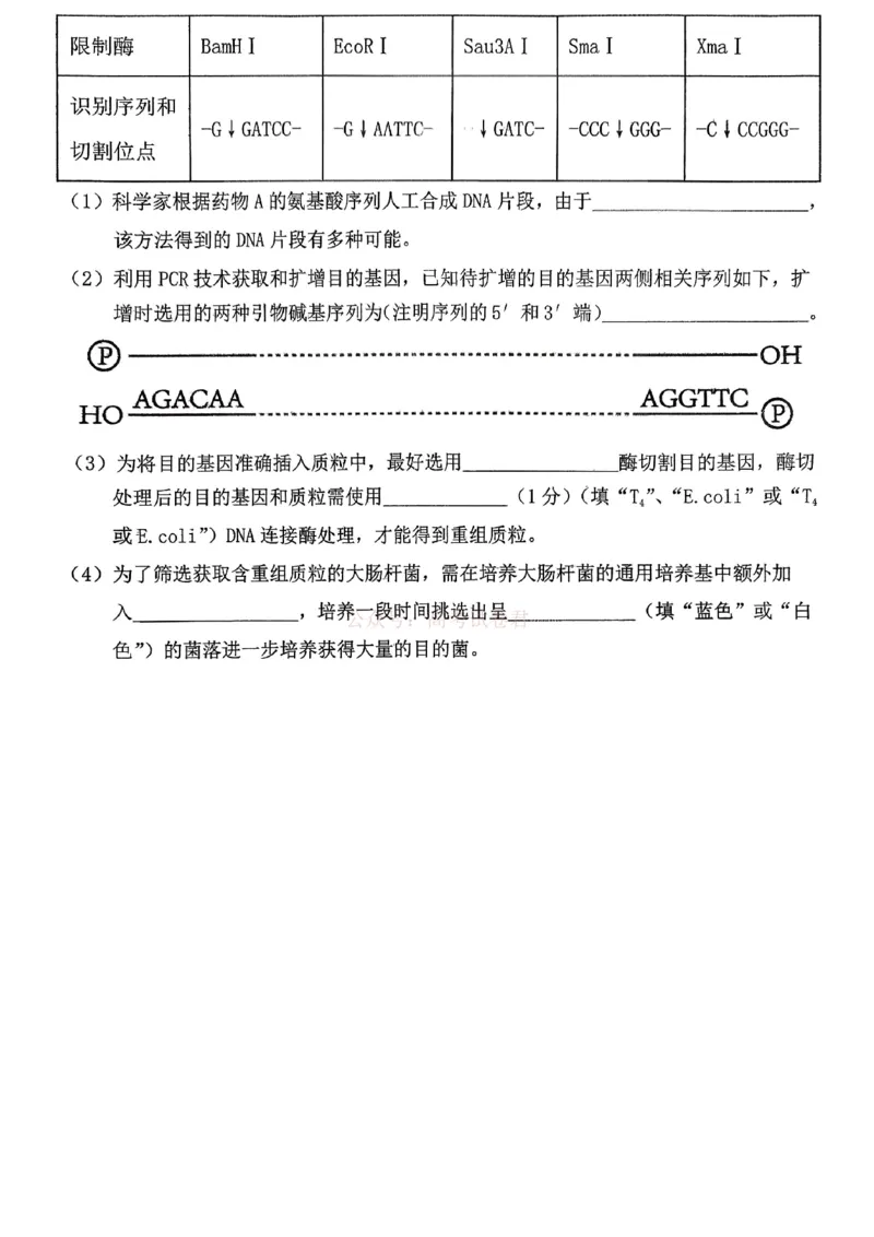 重庆名校联盟2026届高三下学期第一次联考生物_2026届重庆名校联盟高三下学期第一次联考_06生物2026届重庆名校联盟高三下学期第一次联考