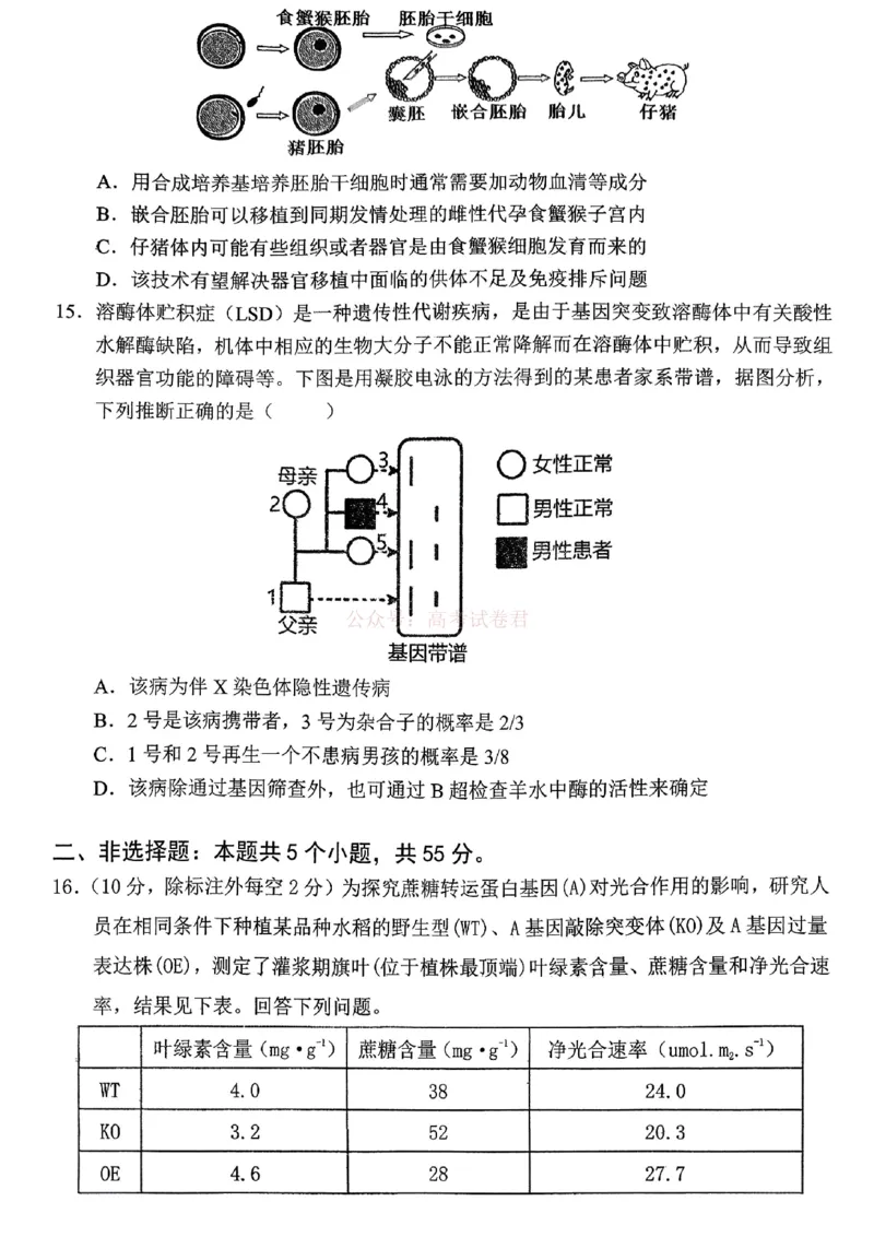 重庆名校联盟2026届高三下学期第一次联考生物_2026届重庆名校联盟高三下学期第一次联考_06生物2026届重庆名校联盟高三下学期第一次联考