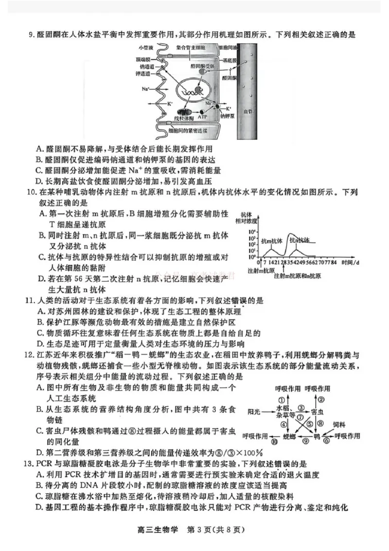 江苏省九校2026届高三下学期3月联考生物+答案_2026届江苏省顶尖九校高三三月联考_06生物2026届江苏省顶尖九校高三三月联考
