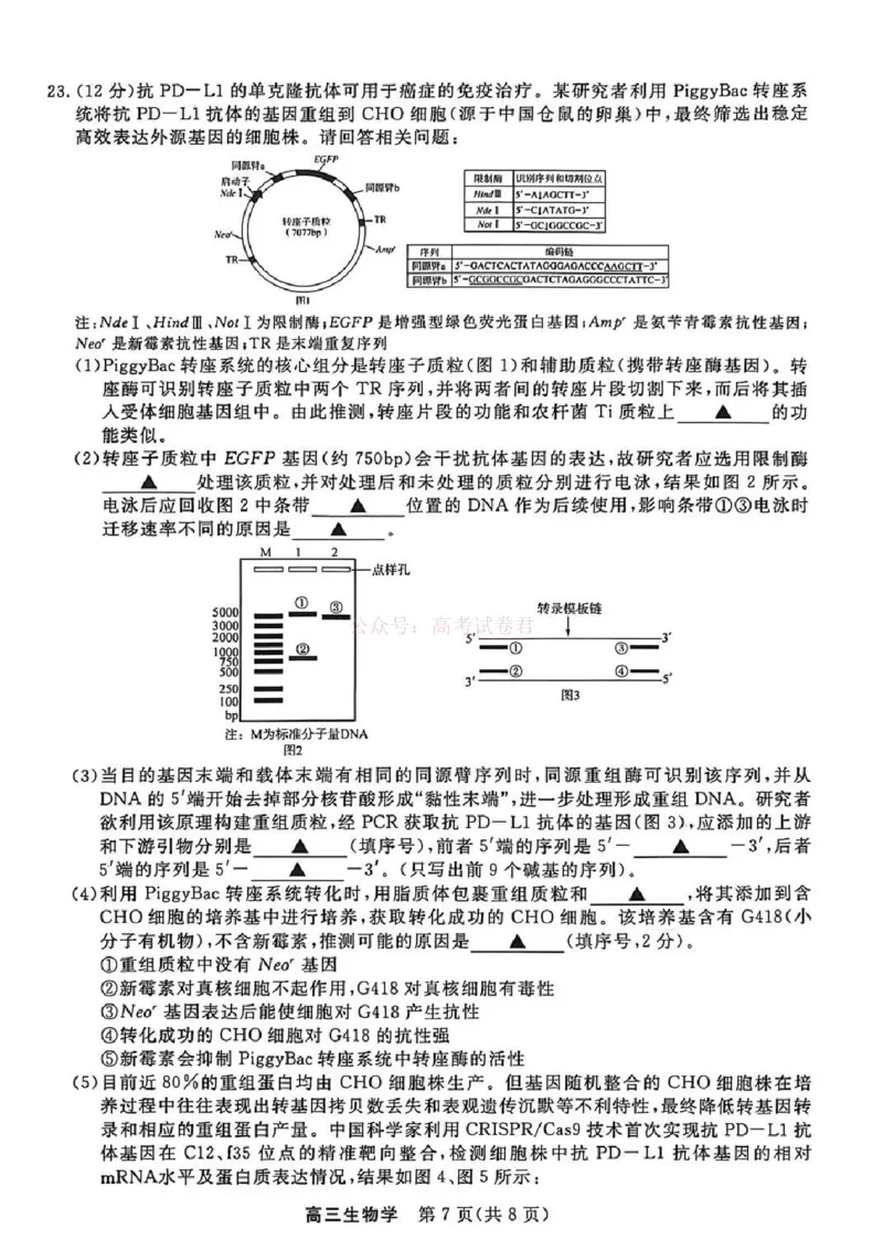 江苏省九校2026届高三下学期3月联考生物+答案_2026届江苏省顶尖九校高三三月联考_06生物2026届江苏省顶尖九校高三三月联考