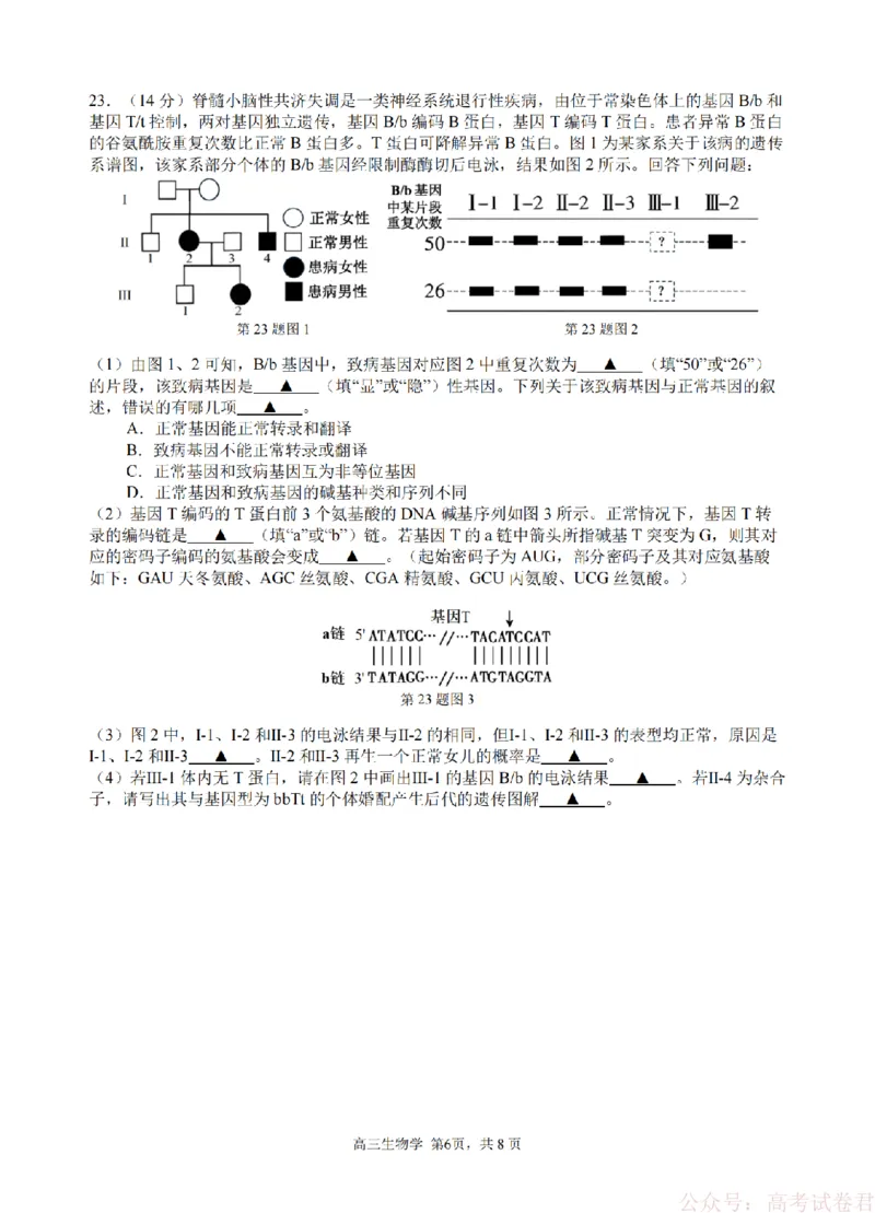 生物卷-2603高三名校协作体_2026届浙江名校协作体G12联盟高三下学期二模_2026届浙江省名校协作体G12联盟高三下学期二模生物试题（含答案）
