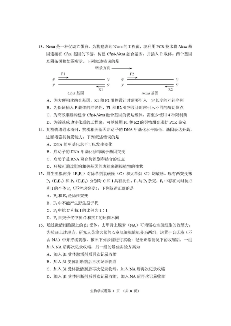 生物试题卷河南卷河南省2026届高三下学期高考适应性考试（3.25-3.26）_河南省2026届高三下学期高考适应性考试