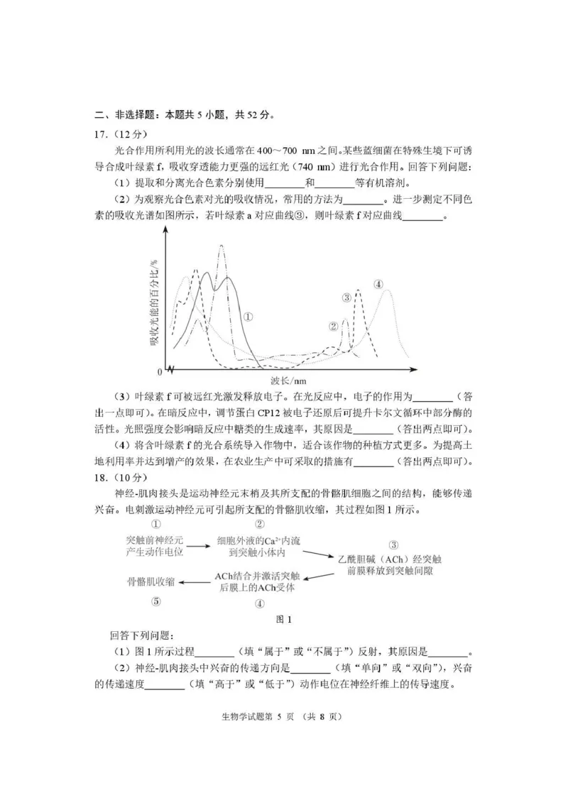 生物试题卷河南卷河南省2026届高三下学期高考适应性考试（3.25-3.26）_河南省2026届高三下学期高考适应性考试