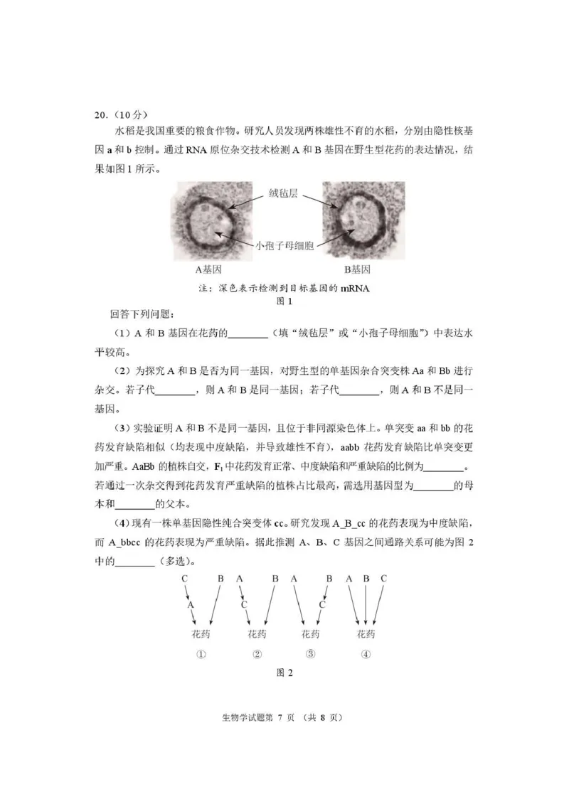 生物试题卷河南卷河南省2026届高三下学期高考适应性考试（3.25-3.26）_河南省2026届高三下学期高考适应性考试