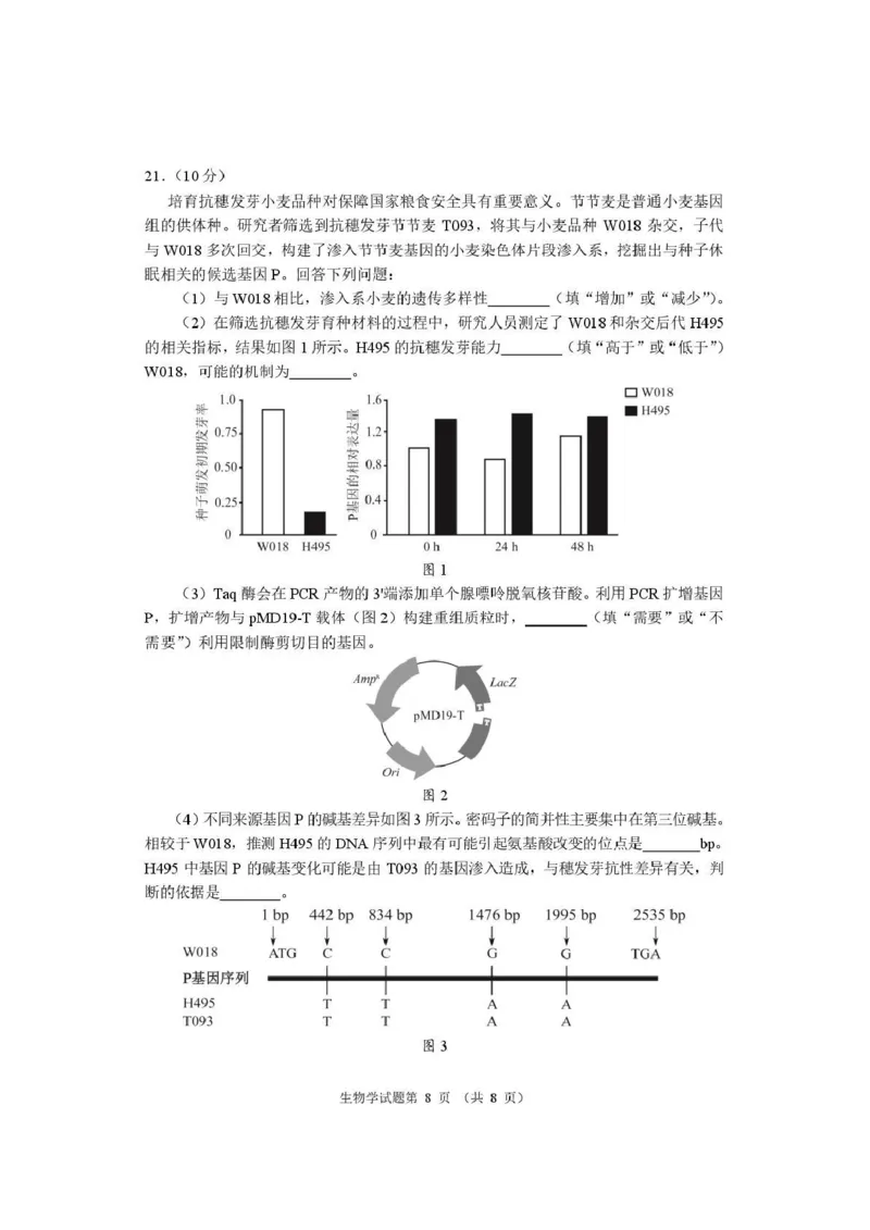 生物试题卷河南卷河南省2026届高三下学期高考适应性考试（3.25-3.26）_河南省2026届高三下学期高考适应性考试