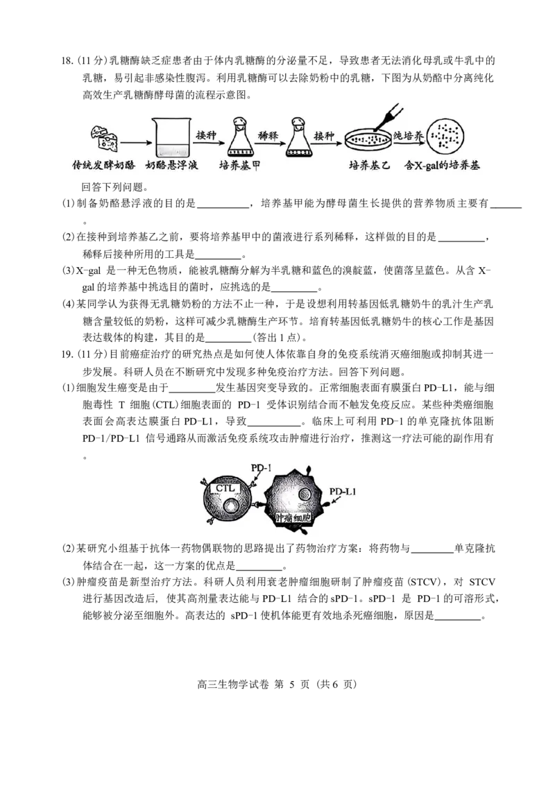 贵州省贵阳市2026年高三年级2月适应性考试（一）(贵阳一模)生物（含答案）_2026届贵州省贵阳市高三2月适应性考试（一）_贵州省贵阳市2026年高三年级2月适应性考试（一）(贵阳一模)生物
