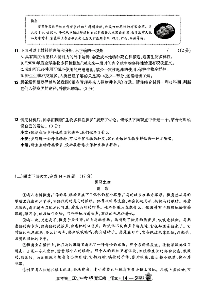 1_2025金考卷语文45套卷_12.2026年4月全国各地高考模拟卷_2026版初中金考卷&bull;45套中考试卷汇编系列合集_2025版金考卷《45套中考试卷汇编》初中7科全（全国、各地多版本）(1)