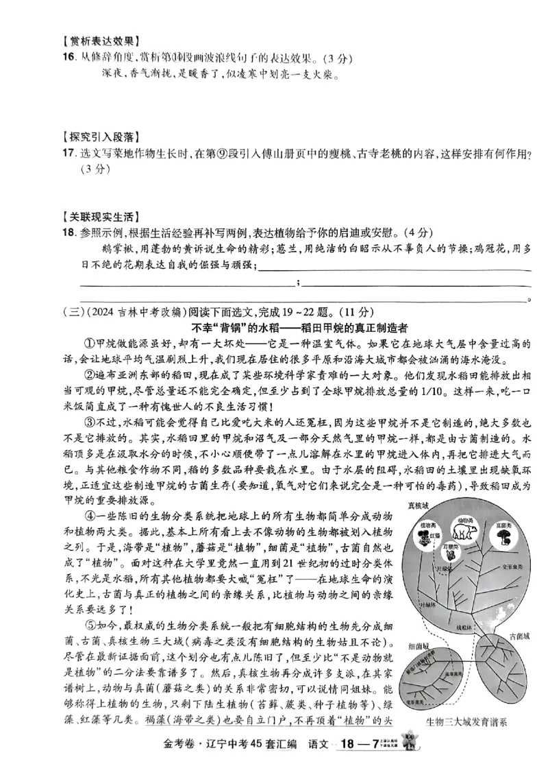 1_2025金考卷语文45套卷_12.2026年4月全国各地高考模拟卷_2026版初中金考卷&bull;45套中考试卷汇编系列合集_2025版金考卷《45套中考试卷汇编》初中7科全（全国、各地多版本）(1)