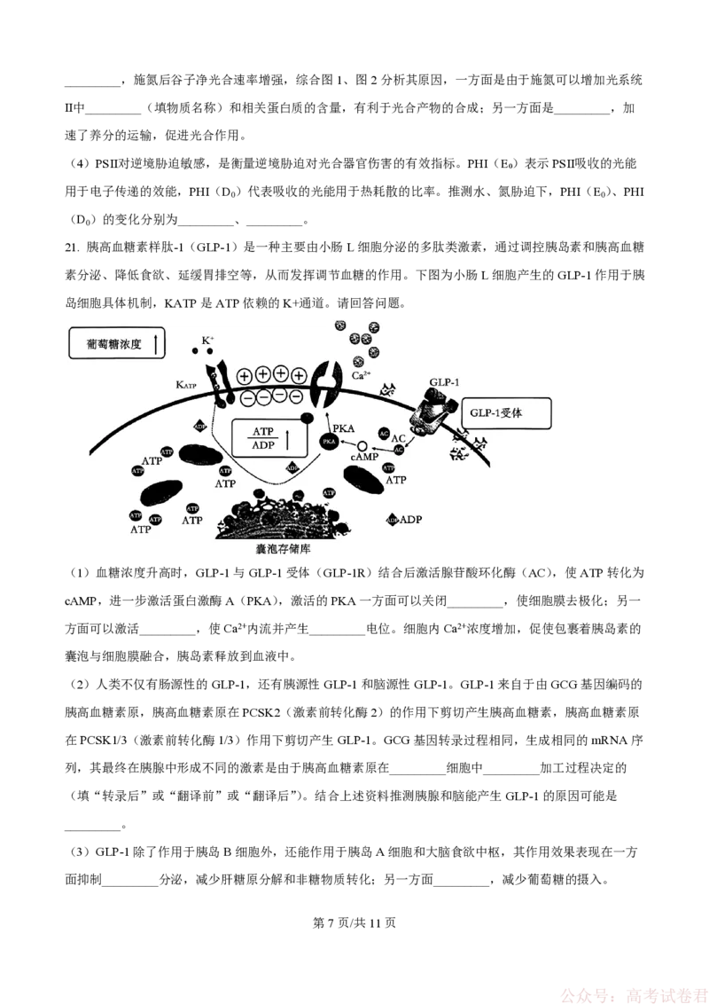 精品解析：2026届江苏省南京市六合区名校联盟高三一模生物试题（原卷版）_2026届江苏南京名校联盟高三下学期一模试题_2026届江苏省南京市六合区名校联盟高三一模生物试题