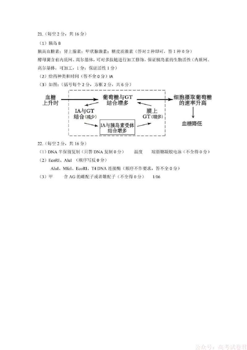 湖北襄阳市2026届高三年级3月统一调研测试生物试题(含答案）_2026届湖北省襄阳市高三3月统一调研测试
