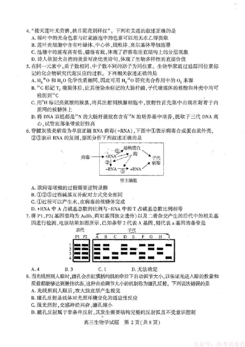 湖北襄阳市2026届高三年级3月统一调研测试生物试题(含答案）_2026届湖北省襄阳市高三3月统一调研测试