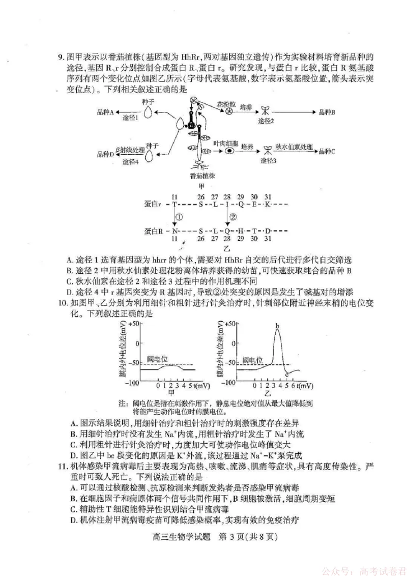 湖北襄阳市2026届高三年级3月统一调研测试生物试题(含答案）_2026届湖北省襄阳市高三3月统一调研测试