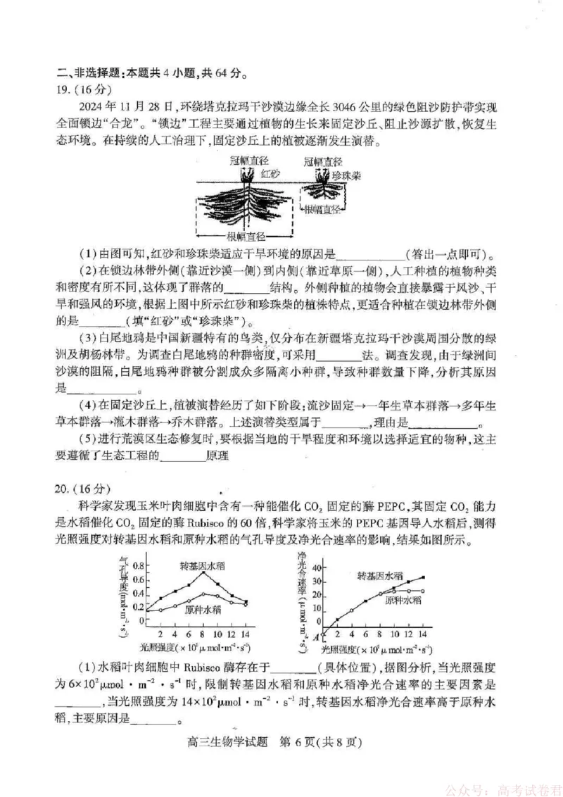 湖北襄阳市2026届高三年级3月统一调研测试生物试题(含答案）_2026届湖北省襄阳市高三3月统一调研测试