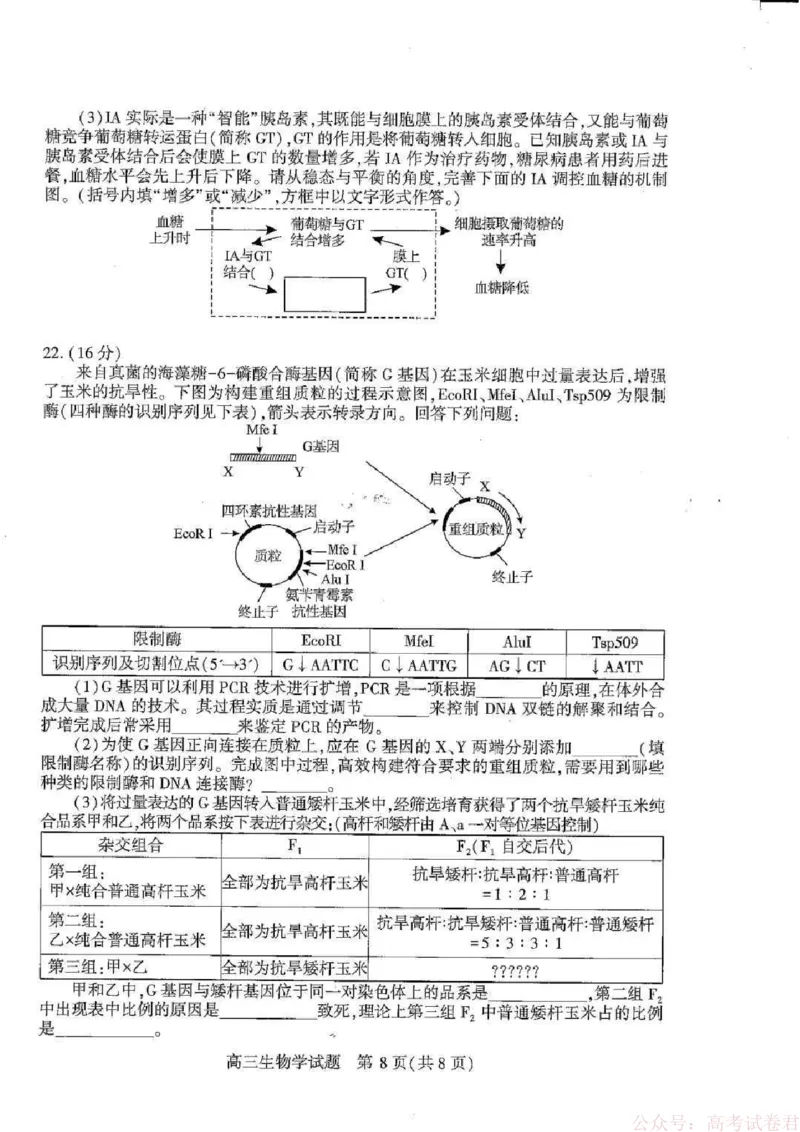 湖北襄阳市2026届高三年级3月统一调研测试生物试题(含答案）_2026届湖北省襄阳市高三3月统一调研测试