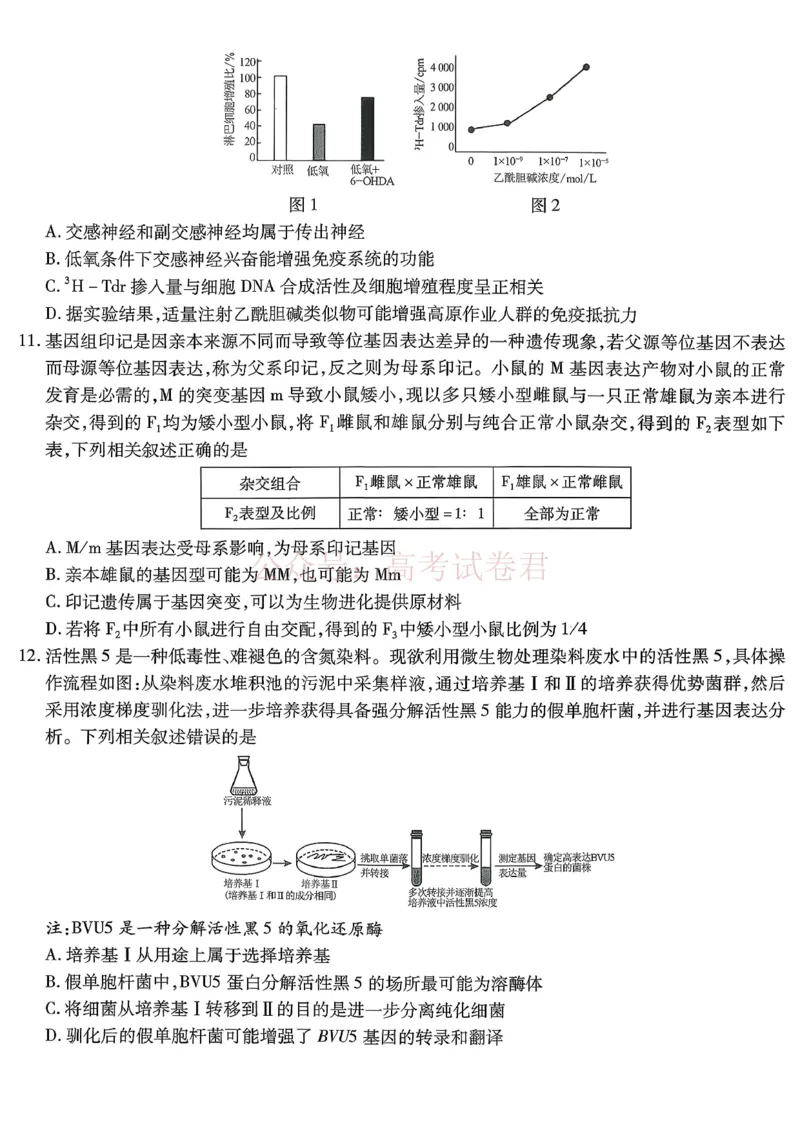 重庆市南开中学高2026届高三第七次质量检测生物_副本_2026届重庆南开中学高三下学期第七次质量检测全科_06生物_重庆南开中学高三下学期第七次质量检测