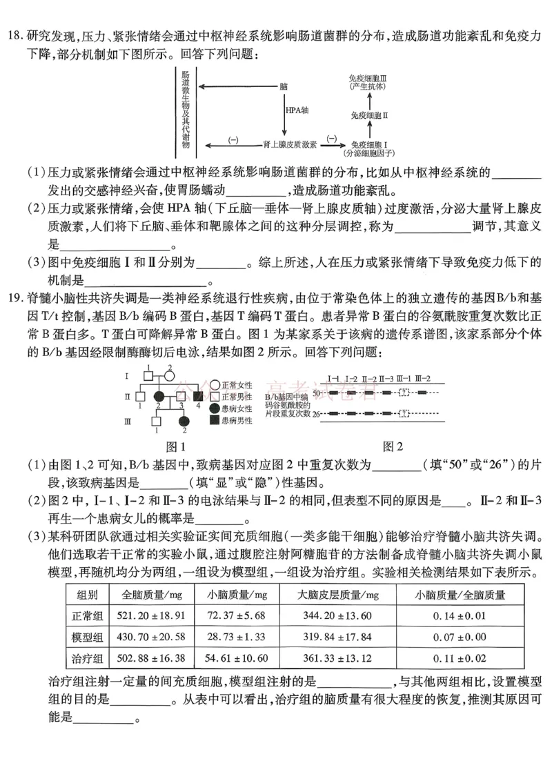 重庆市南开中学高2026届高三第七次质量检测生物_副本_2026届重庆南开中学高三下学期第七次质量检测全科_06生物_重庆南开中学高三下学期第七次质量检测