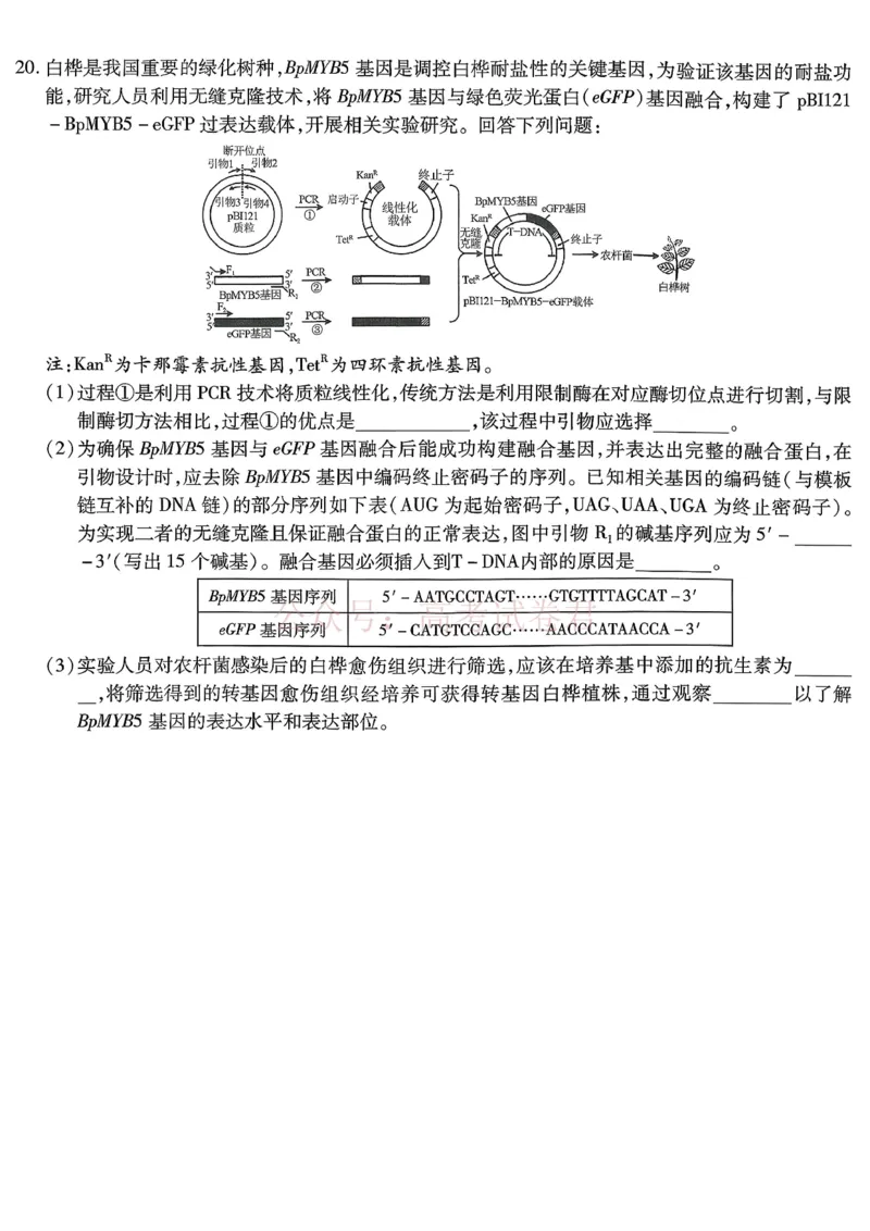 重庆市南开中学高2026届高三第七次质量检测生物_副本_2026届重庆南开中学高三下学期第七次质量检测全科_06生物_重庆南开中学高三下学期第七次质量检测