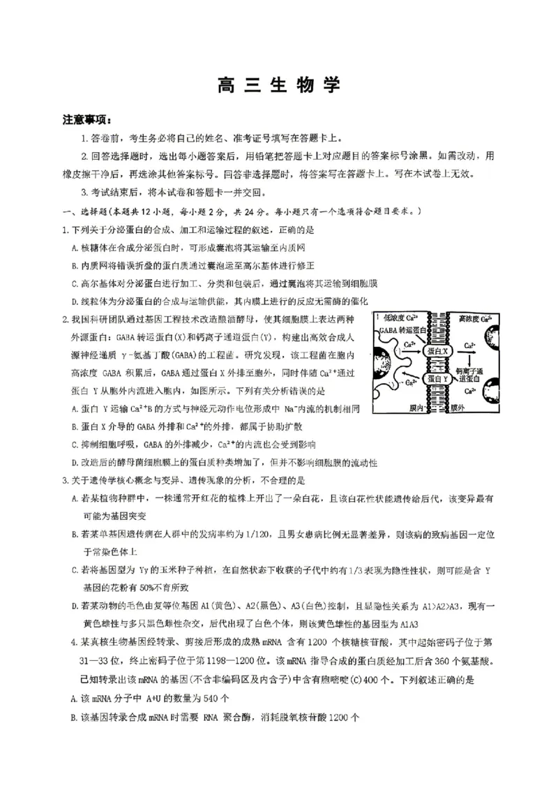 生物试卷-湖南省长沙市雅礼中学2026届高三年级月考试卷（八）_雅礼中学（八）_湖南省长沙市雅礼中学2026届高三年级月考试卷（八）