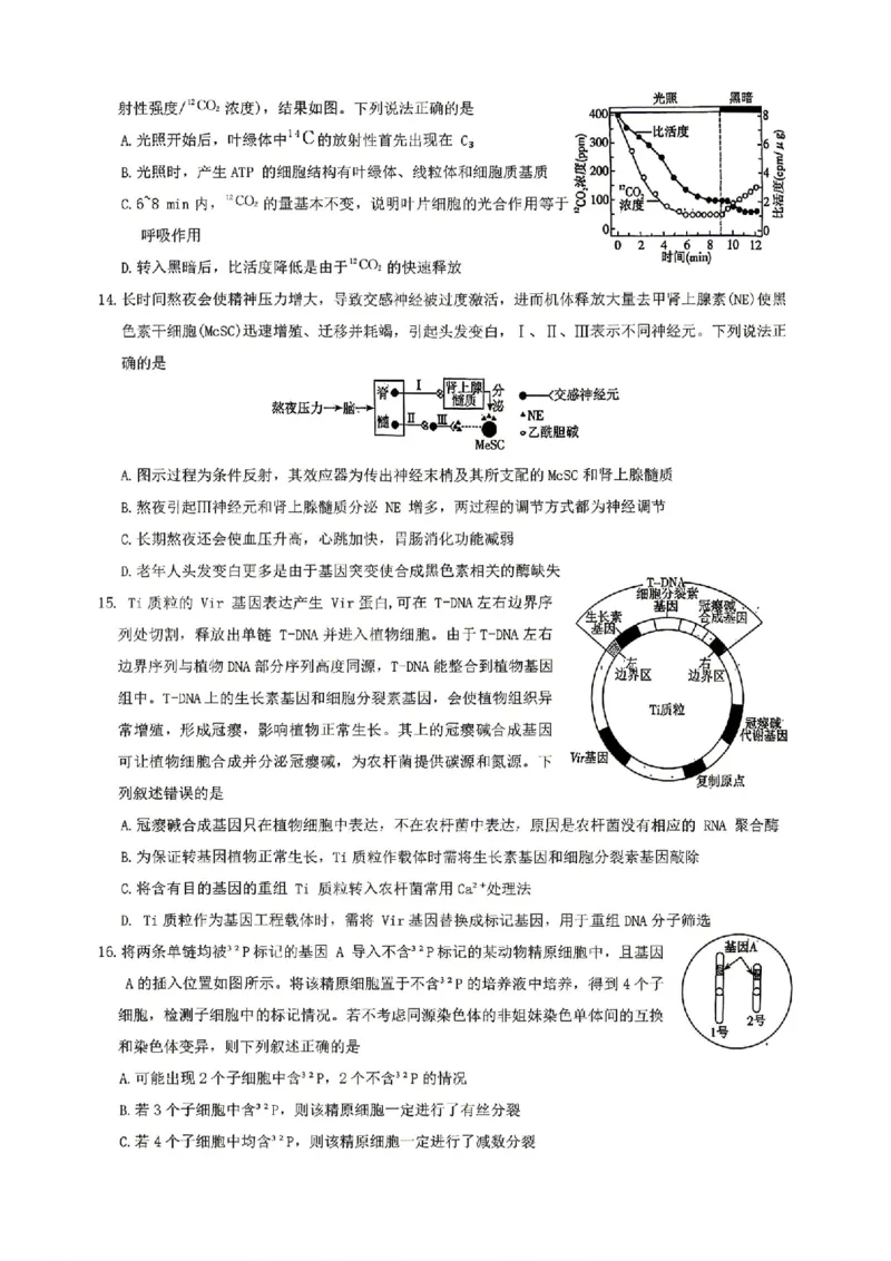 生物试卷-湖南省长沙市雅礼中学2026届高三年级月考试卷（八）_雅礼中学（八）_湖南省长沙市雅礼中学2026届高三年级月考试卷（八）