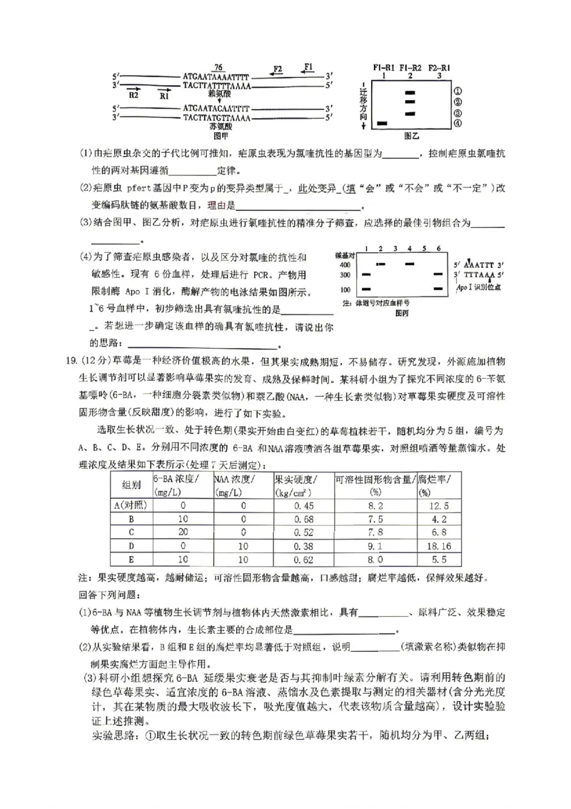 生物试卷-湖南省长沙市雅礼中学2026届高三年级月考试卷（八）_雅礼中学（八）_湖南省长沙市雅礼中学2026届高三年级月考试卷（八）